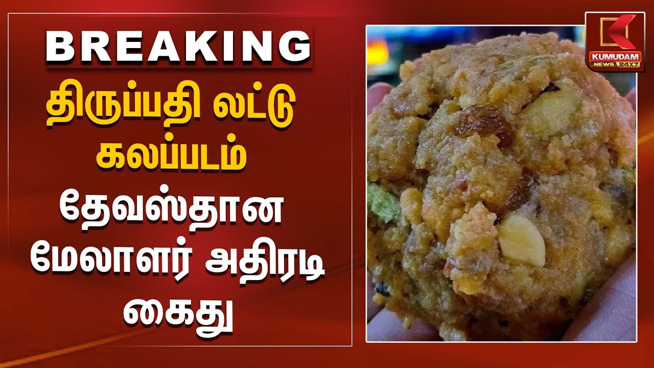 திருப்பதி லட்டு கலப்படம் தேவஸ்தான மேலாளர் அதிரடி கைது | Tirupathi Laddu Issue | Kumudam News