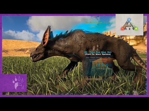 Moving to the Desert Savannah | Ark: Crystal Isles (S0E02)