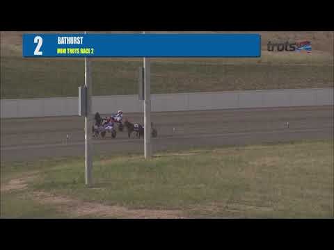 BATHURST MINI TROTS RACE 2
