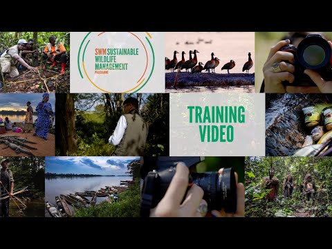 Nine tips for telling stories through photos and videos