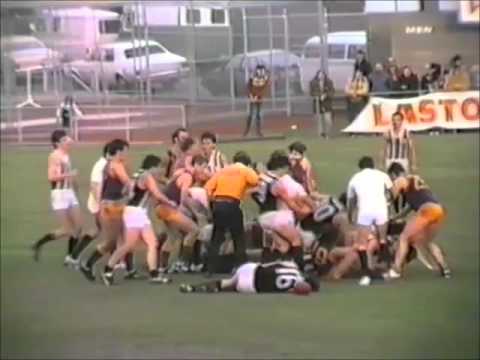 Brunswick v Oakleigh, 1984 Preliminary final (VFA)