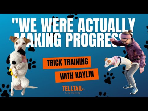 "We Were Actually Making Progress" - Trick Training and Pupfluencing with Kaylin