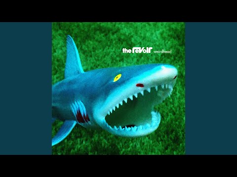 Take To Heart - The Revoir