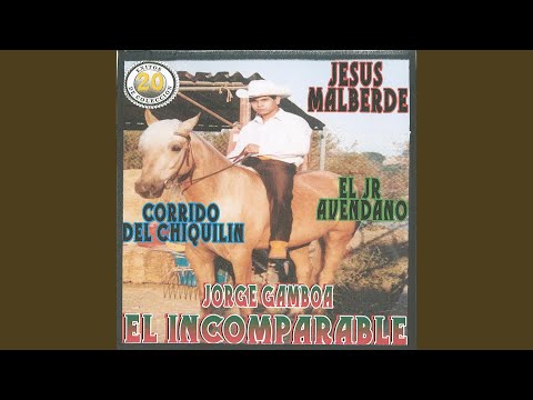 El Cartel de los Cielos