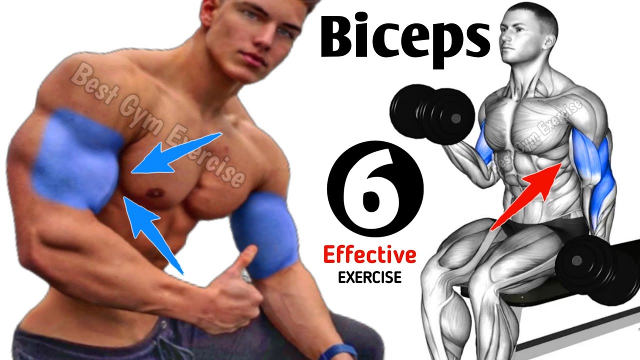 6 Fastest Effective Bigger Biceps Exercises