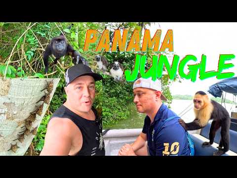 Is Feeding Wild Monkeys Safe in Panama?