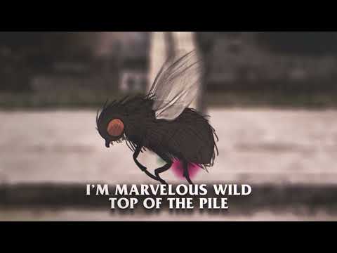 Willie the Kid & Real Bad Man "Maxwell's Peacoat Collection" (Lyric Visualizer)