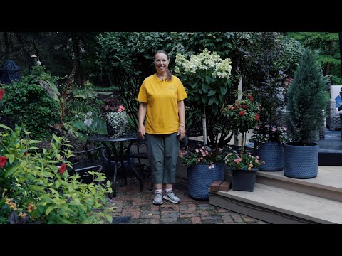 PETITTI | Growing Small Trees in Containers for the Patio