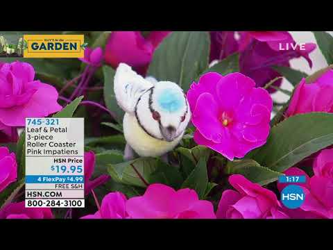 HSN | Guy's in the Garden 03.26.2021 - 10 AM