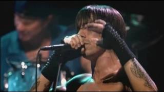 Red Hot Chili Peppers - Don't Forget Me - Live at Olympia, Paris