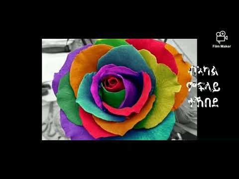 Korchach New Ethiopia Tigray Eritrea Martyrs Music 2022 /ዕንባባ ፍዬሪ ብ ካብራል ሃብተኣብ