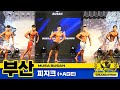 [MUSA 부산] 피지크, 피지크AGE 그랑프리 (MUSA busan : physique, physique age Grand Prix)
