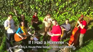 If I Had a Hammer