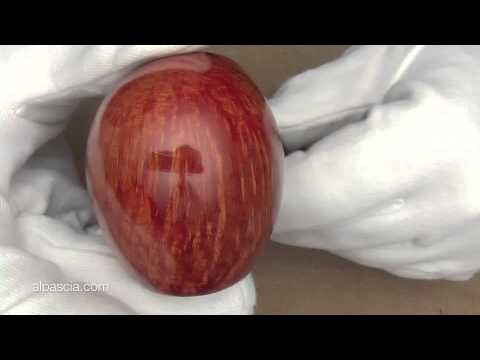 pipa Peterson Darwin Natural De Luxe System - smoking pipe 1291