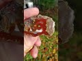 Red Thunderegg