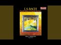 French Overture, BWV 831: Echo