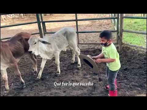 Video Mi Niño Coleador de Yajhaira Olivo