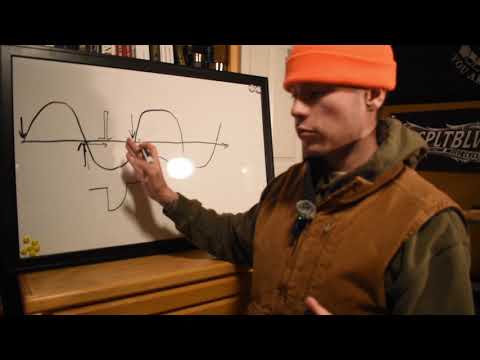 Elior Bilow and Alex Mueller