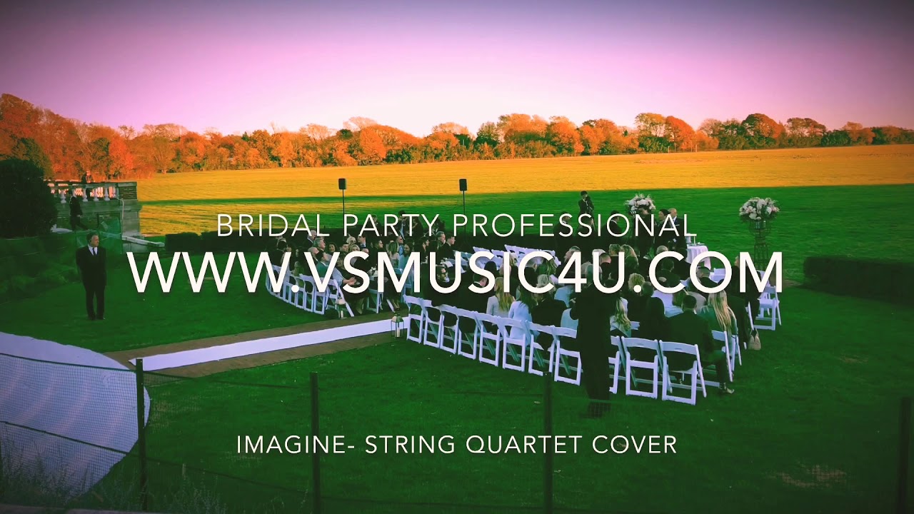 Promotional video thumbnail 36 for VSmusic4u Wedding & Event Musicians