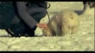 Coalmine Music Video