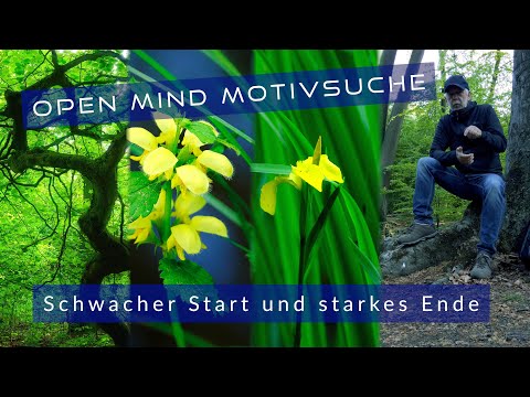 Open Mind - spontane Motivsuche am Bachlauf im Wald - Landschaftsfotografie on location