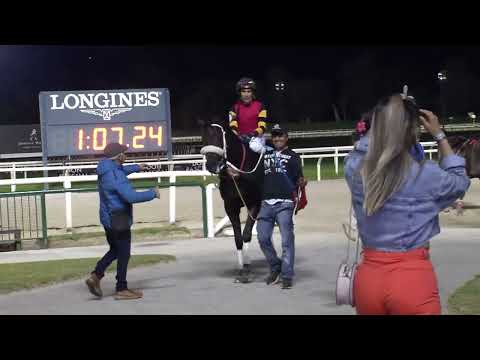 221002 c13 LOOSE LIPS (BRZ)