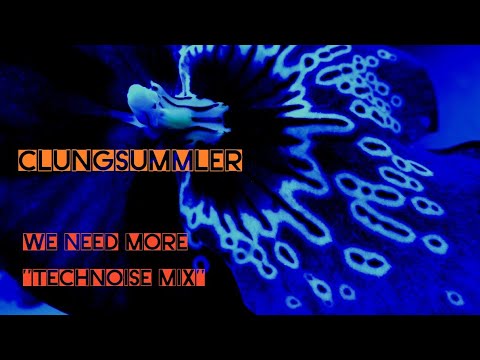 Techno Hard House / CLUNGSUMMLER - We Need More (Technoise Mix) (Upgraded Video)