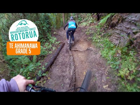 One of our Favourites! Te Ahimanawa, Rotorua