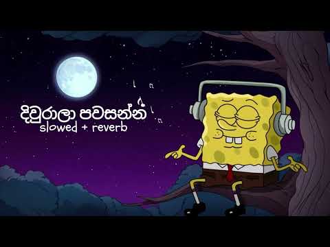 දිවුරාලා පවසන්න - Diurala Pawasanna || Slowed Reverb