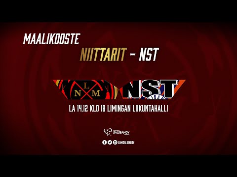 Maalikooste LNM - NST 14.12.2019