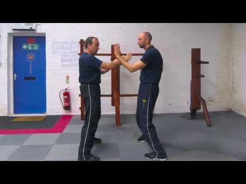 Simply Wing Chun Kuen - Dan Chi Sao explanation