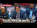 Palestinians should no longer have to die & suffer to remain on their land: Palestine's UN envoy