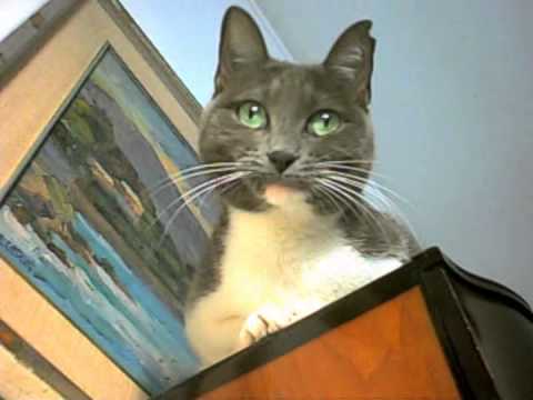 NON E' STATO UN SOGNO - Lina Termini