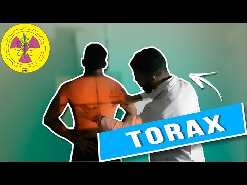 POSITIONING: THORAX ROUTINE