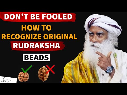 How To Identify Original and Duplicate Rudraksha - Sadhguru #adiyogi