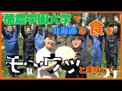 先端経営学科 酪農学園大学で北海道の食をモ～ウッと美味しくしませんか？（食と健康学類からのメッセージ）