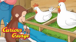 Curious George 🐵 George and the Chickens 🐵 Kids Cartoon 🐵 Kids Movies 🐵 Videos for Kids