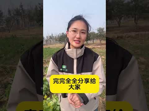 Ultimate Guide to High-Yield Cucumber Farming Techniques