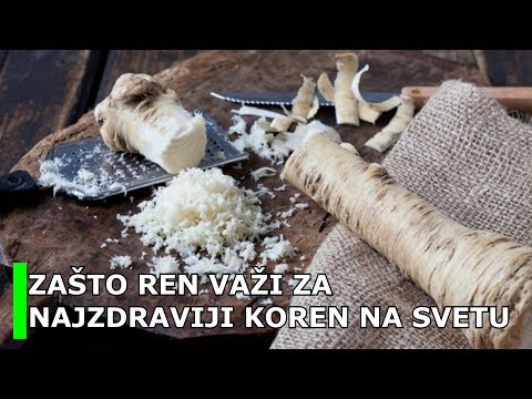 ZAŠTO REN VAŽI ZA NAJZDRAVIJI KOREN NA SVETU   EVO BAREM 5 RAZLOGA