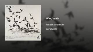 Wingbeats