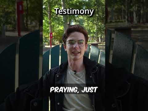 Witness21 Editor  2024 12 03