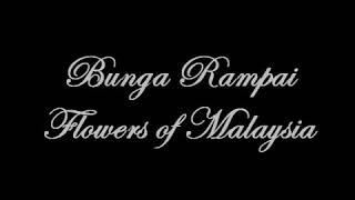 Download lagu Instrumental bunga rampai Malaysia mp3 Download lagu Instrumental bunga rampai Malaysia mp3