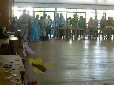 DC Alma Gaúcha Mirim - Fegaes 2010