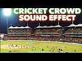 Cricket Stadium Ambience Crowd Sound Effect Sports Match Crowds Sounds Royalty Free