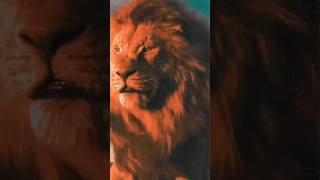 Download lagu mera maula haydar haydar akhiye nbi piyare nabi video#trendingshorts #viralvideo #islamic #shots mp3