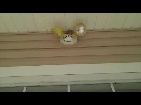 Three stingers in Neptune City, NJ