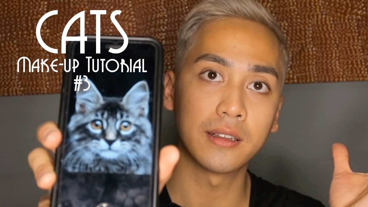 CATS Make-up Tutorial #3 - Tabby Cat