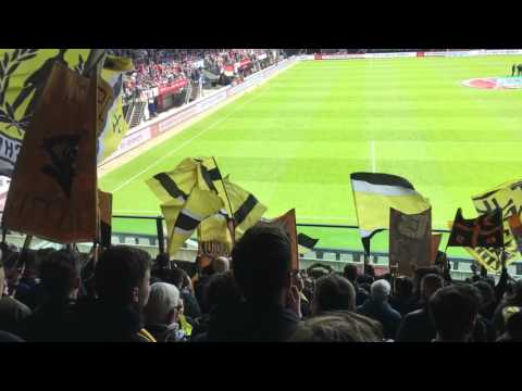 NEC - Roda JC 1-2 2016 before the match