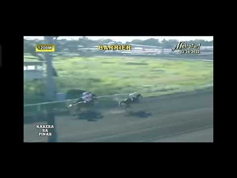 Robinhood x Brother son barrier trial