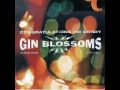 Gin Blossoms-Day Job (live) 